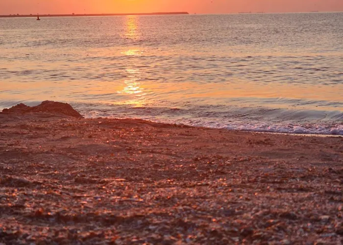 126 * אפורי נורד